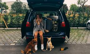 Débora e o namorado alugam carro nos países por onde passam para viajar com os dois cachorros.