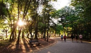 Parque Villa-Lobos na zona sul de São Paulo. Foto: RSdBarros / Flickr.