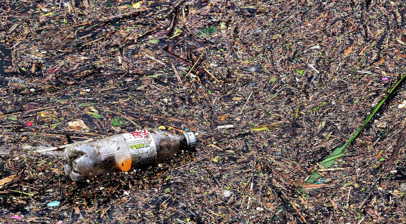 Plásticos ficam por centenas de anos no ambiente sem desintegrar. Foto: Andrew Martin / Pixabay.