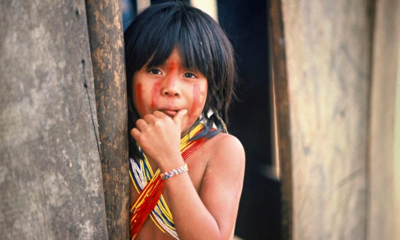 Também será exibido, durante a mostra, o documentário “Crianças da Amazônia“ de Denise Zmekhol. Foto: Divulgação.
