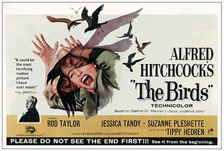 Cartaz promocional de "The Birds" (Os Pássaros", 1963) com Tippi Hedren. Imagem: Universal Pictures.