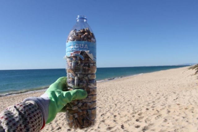 Lote de beatas recolhido em praia no Algarve. Foto: Público.