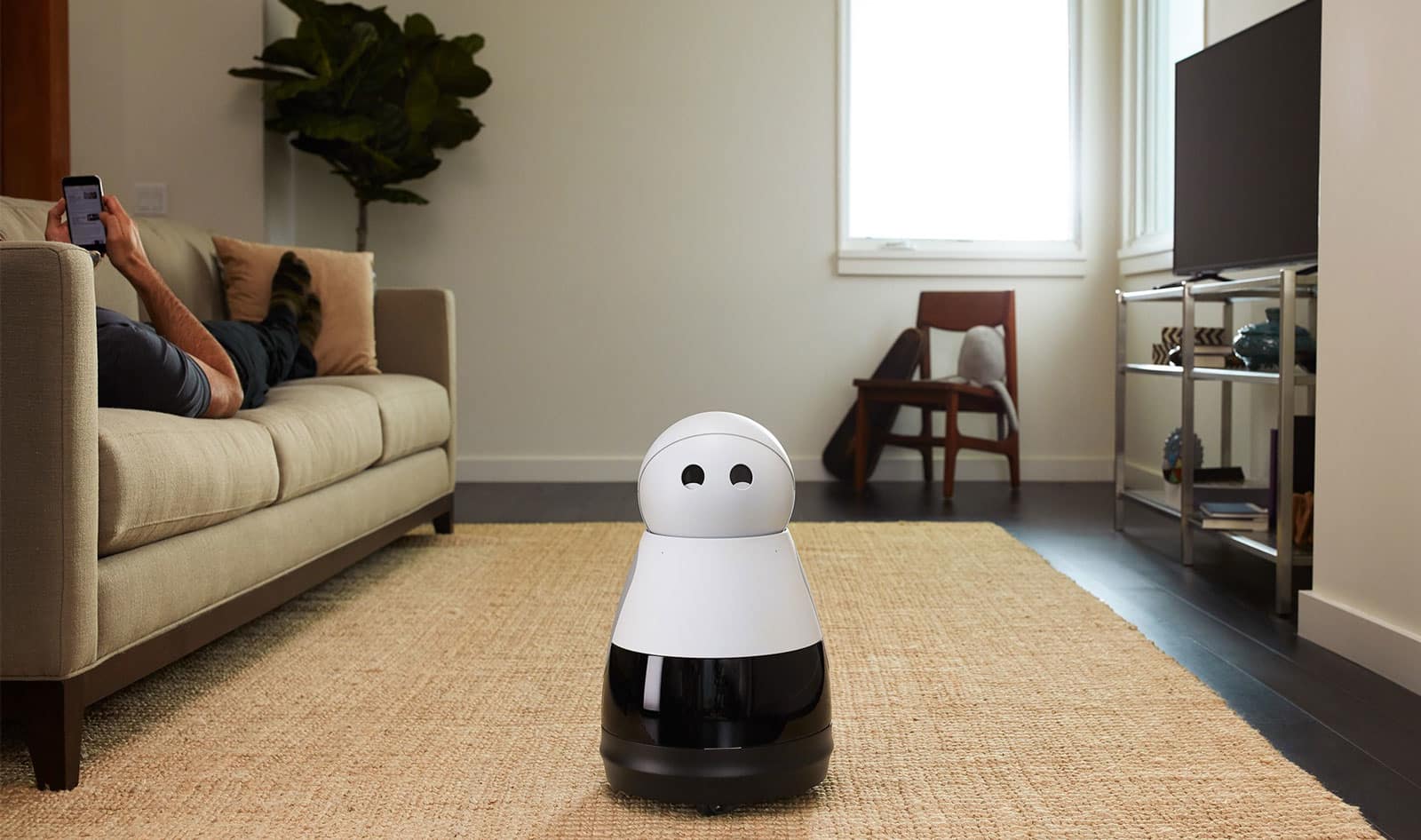 Os robôs ganharão espaço na sociedade. Foto: Mayfield Robotics.