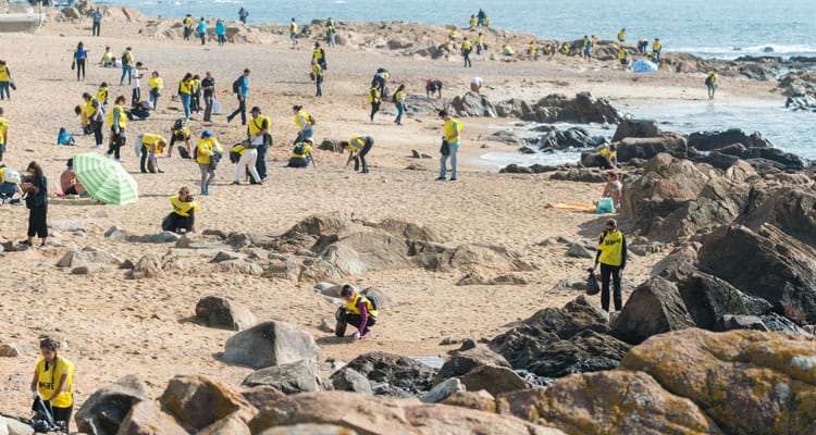 No ano passado na ação 400 voluntarios recolheram 360kg de lixo acumulado na Praia do Castelo do Queijo, numa iniciativa promovida pelo SEA LIFE Porto.. Foto: Divulgação.