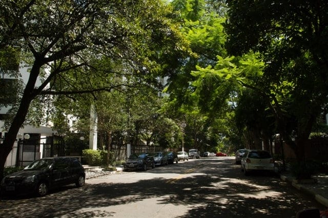 Rua arborizada no Bairro de Santo Amaro, zona sul da capital. Foto: Metro Jornal.