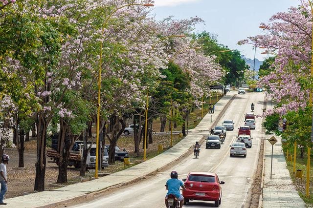 Avenida em Parauapebas, no sudeste do estado do Pará. Foto: Prefeitura Municipal.