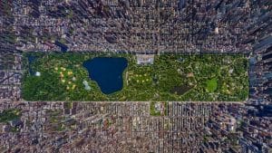 Imagem aérea do Central Park em Nova York. Foto: Getty Images.