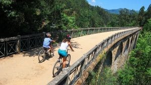 Na região de Aveiro é possível encontrar ciclovias cujos percursos proporcionam experiências para dividir com amigos ou em família. Foto: Turismo Centro Portugal.
