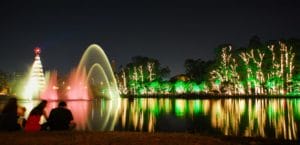 Lago do Parque Ibirapuera iluminado. Foto: Silvio Tanaka.