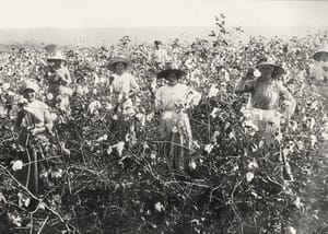 Trabalhadoras em cultura de algodão, em Americana, entre 1907 e 1910