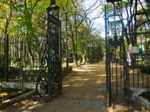 A antiga Chácara do Piqueri, que deu origem ao parque, foi implantada em 1927 pelo Conde Francisco Matarazzo. Foto: Áreas Verdes das Cidades.