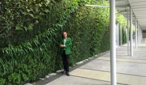 Patrick Blanc botânico e paisagista, considerado o pai da parede verde. Foto: Vertical Gardens.