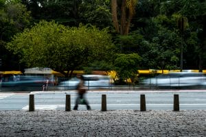 Vista do Parque Trianon a partir do vão livre do MASP na Avenida Paulista. Foto: Paulisson Miura,
