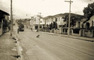 Bonde da Light descendo a rua Fradique Coutinho, enquanto um cachorro se coça nos trilhos. Foto: São Paulo Antiga.