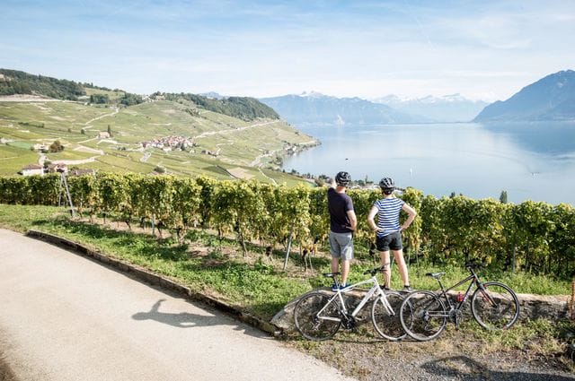 Ciclistas na região de Lavaux, Suiça. Foto: Lausanne Tourisme.